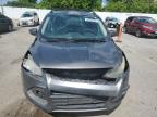 2014 Ford Escape Se   for Sale in Bridgeton, MO - Front End