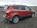 2015 Ford Escape Titanium за продажба в Airway Heights, WA - Rear End