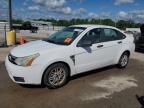 2008 Ford Focus Se იყიდება Louisville-ში, KY - Hail
