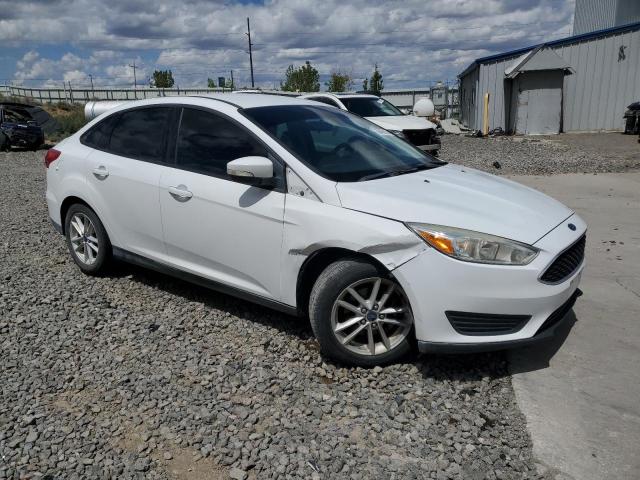  FORD FOCUS 2015 Biały