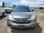 2010 HONDA CR-V LX à vendre chez Copart ON - TORONTO