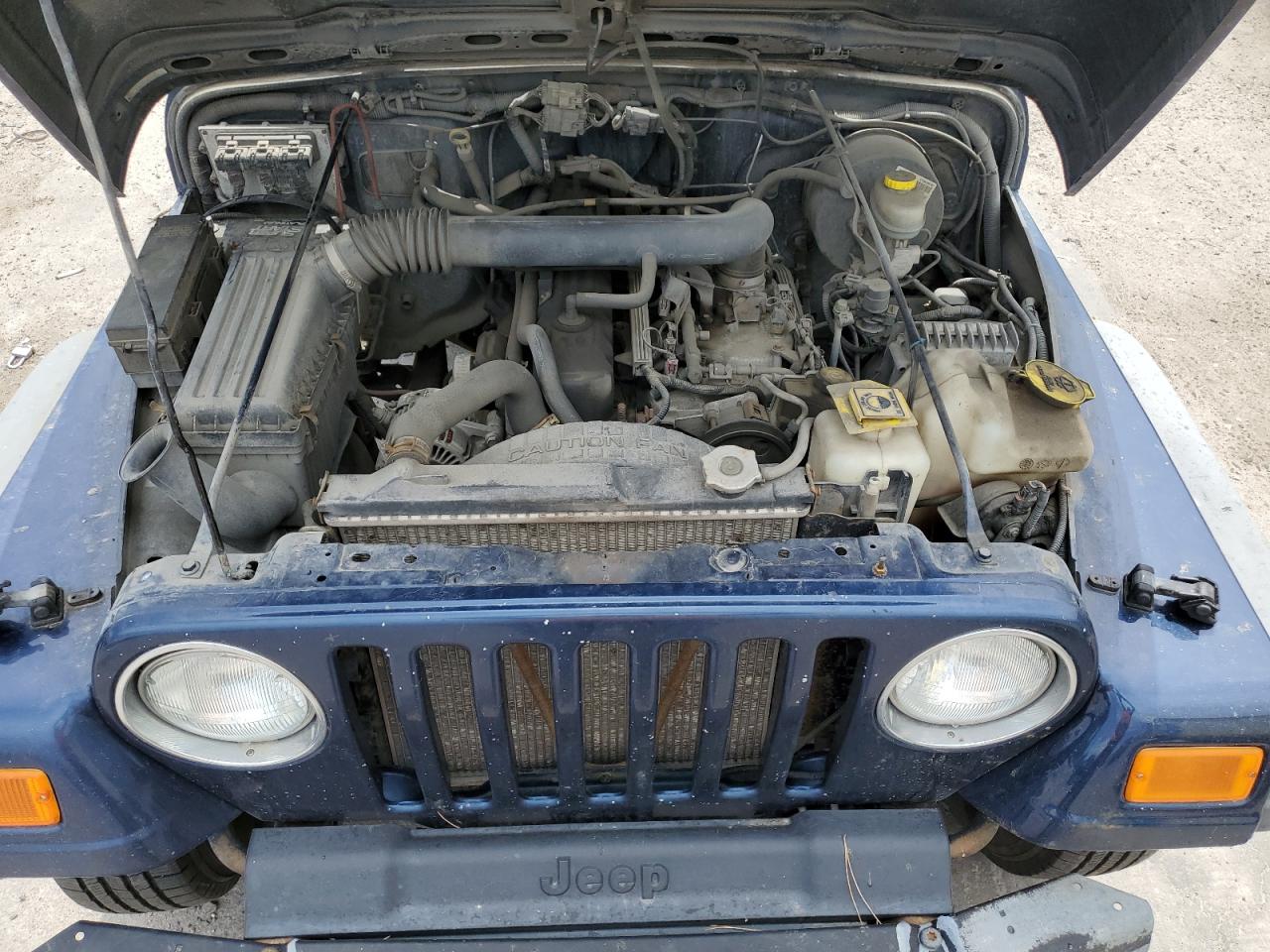 2003 Jeep Wrangler Commando VIN: 1J4FA39S23P330242 Lot: 58034285