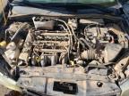 2008 Ford Focus Se იყიდება Albuquerque-ში, NM - Front End
