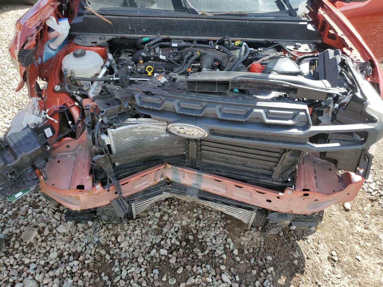 2024 Ford Maverick Xl VIN: 3FTTW8B93RRB22354 Lot: 55435465