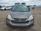 2010 Honda Cr-V Exl zu verkaufen in Greenwood, NE - Hail