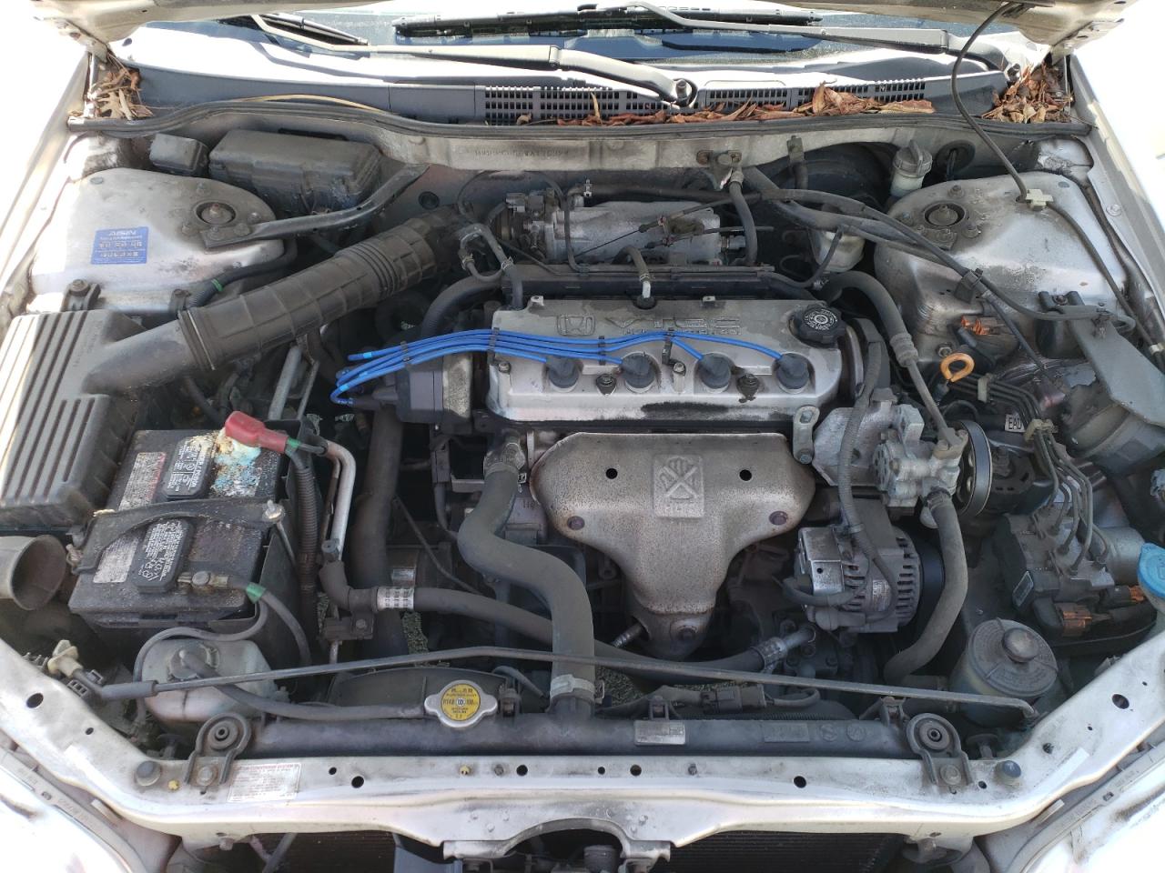 1998 Honda Accord Ex VIN: 1HGCG5555WA176329 Lot: 56905865
