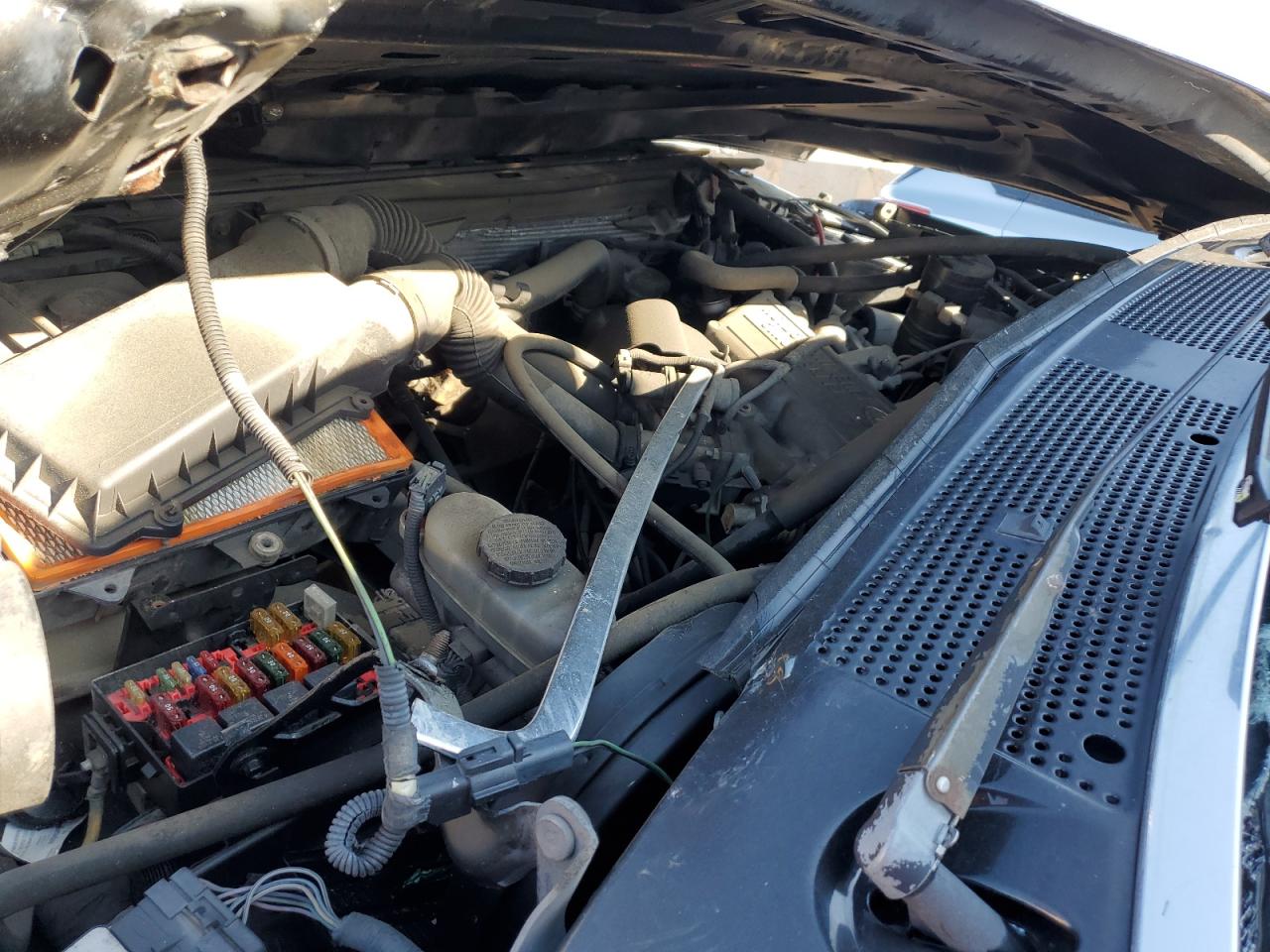 1995 Ford F150 VIN: 1FTEF15Y8SLB70956 Lot: 56555015