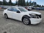 2010 Honda Accord Exl for Sale in Graham, WA - Front End