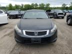 2010 Honda Accord Exl for Sale in Marlboro, NY - Front End