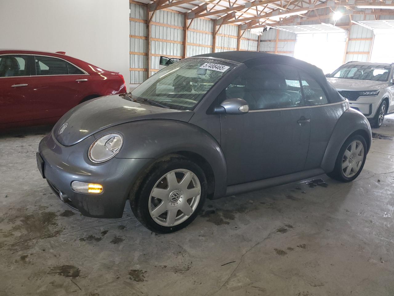 2004 Volkswagen New Beetle Gls for Sale in Lawrenceburg, KY - Vandalism