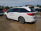 2024 Honda Odyssey Touring на продаже в Greenwell Springs, LA - Side