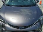 2023 Toyota Sienna Xle للبيع في Mebane، NC - Front End