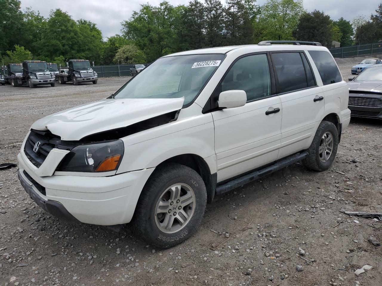2003 Honda Pilot Ex for Sale in Madisonville, TN - Front End