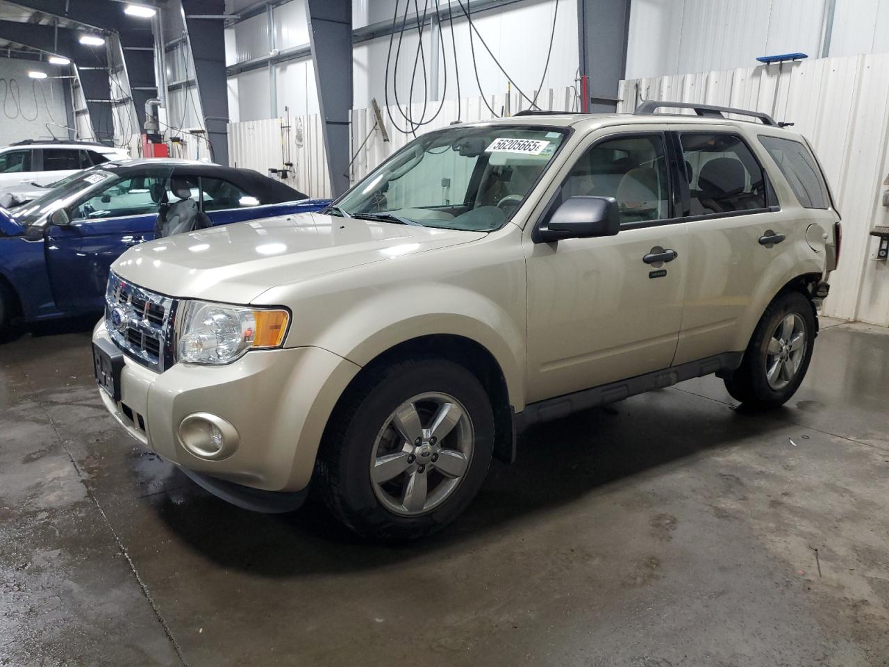 2010 Ford Escape Xlt for Sale in Ham Lake, MN - Rear End