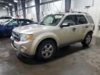2010 Ford Escape Xlt for Sale in Ham Lake, MN - Rear End