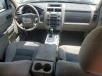 2008 Ford Escape Xlt للبيع في San Antonio، TX - Hail