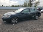 2013 Honda Accord Lx for Sale in Central Square, NY - Side