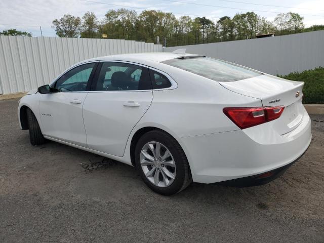  CHEVROLET MALIBU 2023 White