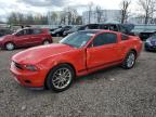 2012 Ford Mustang  للبيع في Central Square، NY - All Over