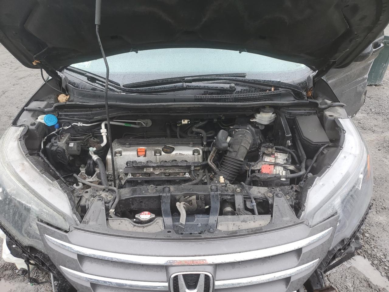 2014 Honda Cr-V Exl VIN: 2HKRM4H76EH646982 Lot: 58144655