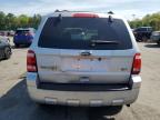 2010 Ford Escape Xlt for Sale in Exeter, RI - Front End