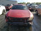 2009 Honda Accord Exl   na sprzedaż w Spartanburg, SC - Front End