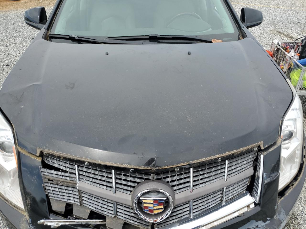2011 Cadillac Srx Luxury Collection VIN: 3GYFNAEY9BS669342 Lot: 57293605