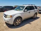 2011 Ford Escape Xlt for Sale in Amarillo, TX - Mechanical