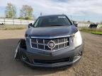 2012 Cadillac Srx Performance Collection for Sale in Columbia Station, OH - Front End