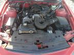 2007 Ford Mustang  for Sale in Apopka, FL - Side