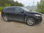 2019 Kia Sorento L   للبيع في London، ON - Rear End