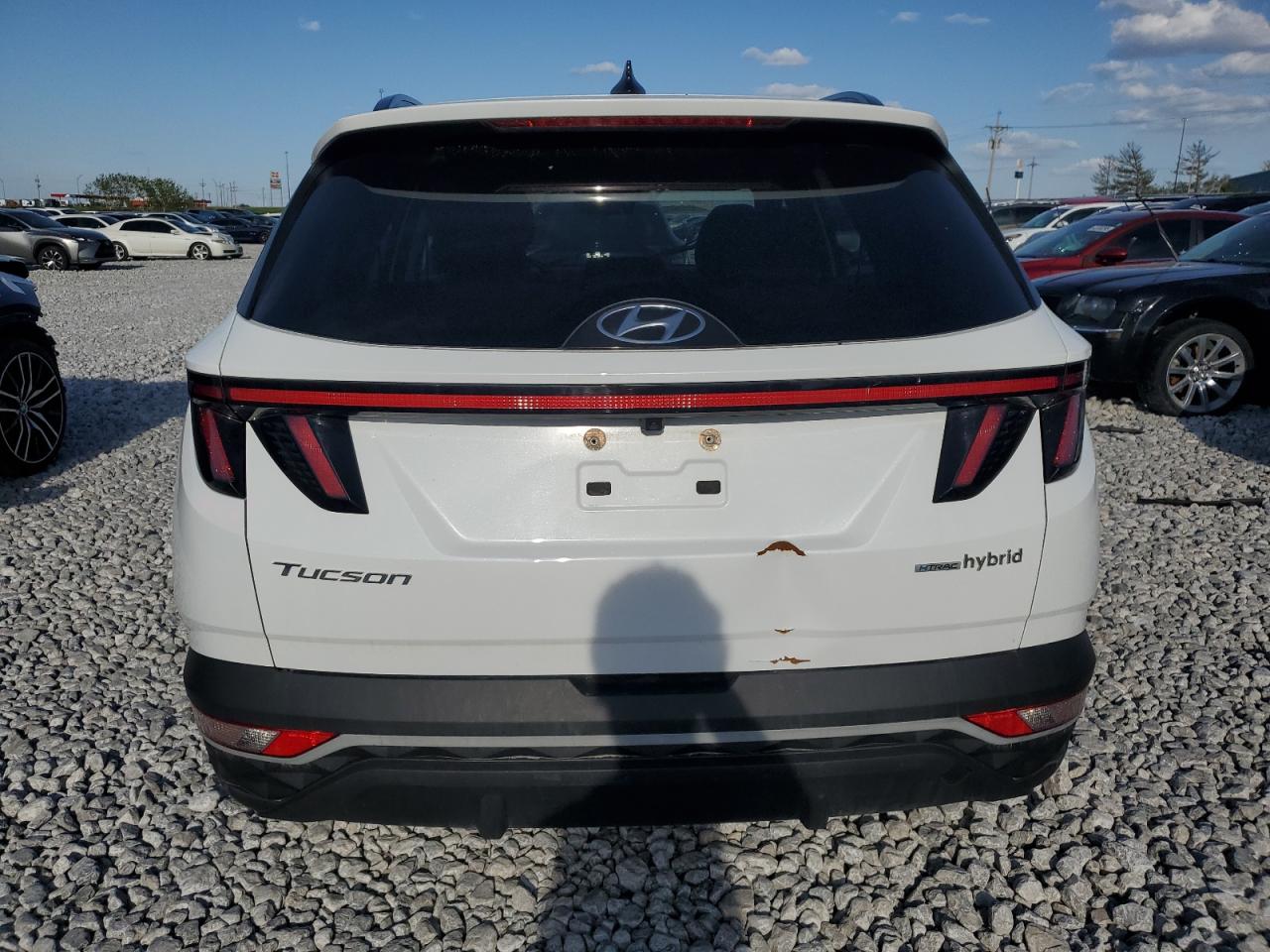 2022 Hyundai Tucson Sel Convenience VIN: KM8JFCA17NU012055 Lot: 51043805