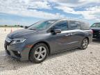 Taylor, TX에서 판매 중인 2018 Honda Odyssey Exl - Hail