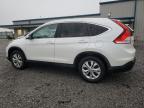 2014 Honda Cr-V Exl for Sale in Earlington, KY - Hail