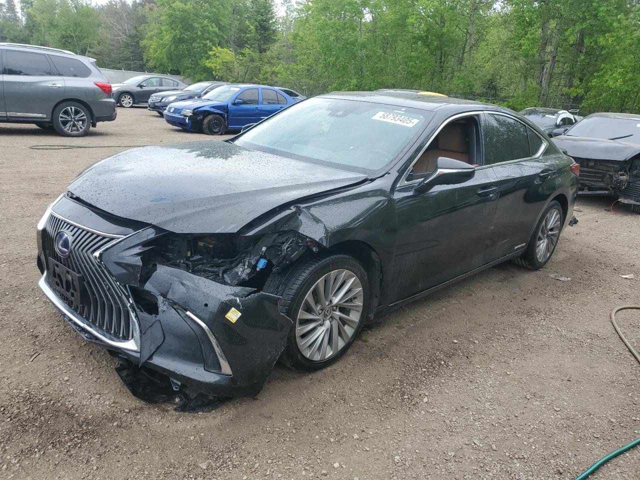 2019 Lexus Es 300H zu verkaufen in Cookstown, ON - Front End