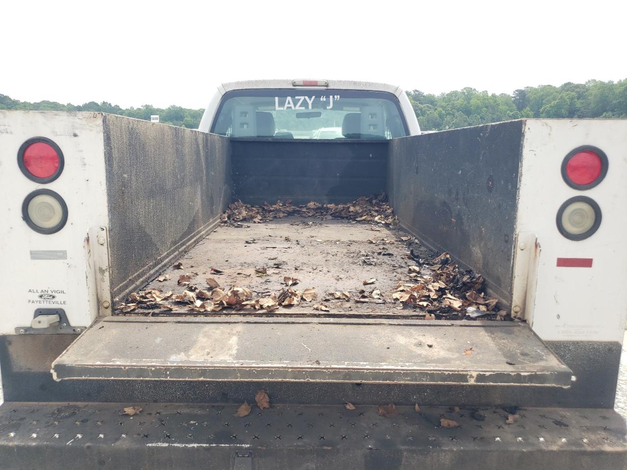2011 Ford F250 Super Duty VIN: 1FD7X2A65BEC17358 Lot: 57156585