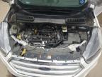 2019 Ford Escape Se zu verkaufen in Blaine, MN - Minor Dent/Scratches