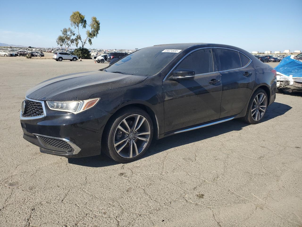 2019 Acura Tlx Technology