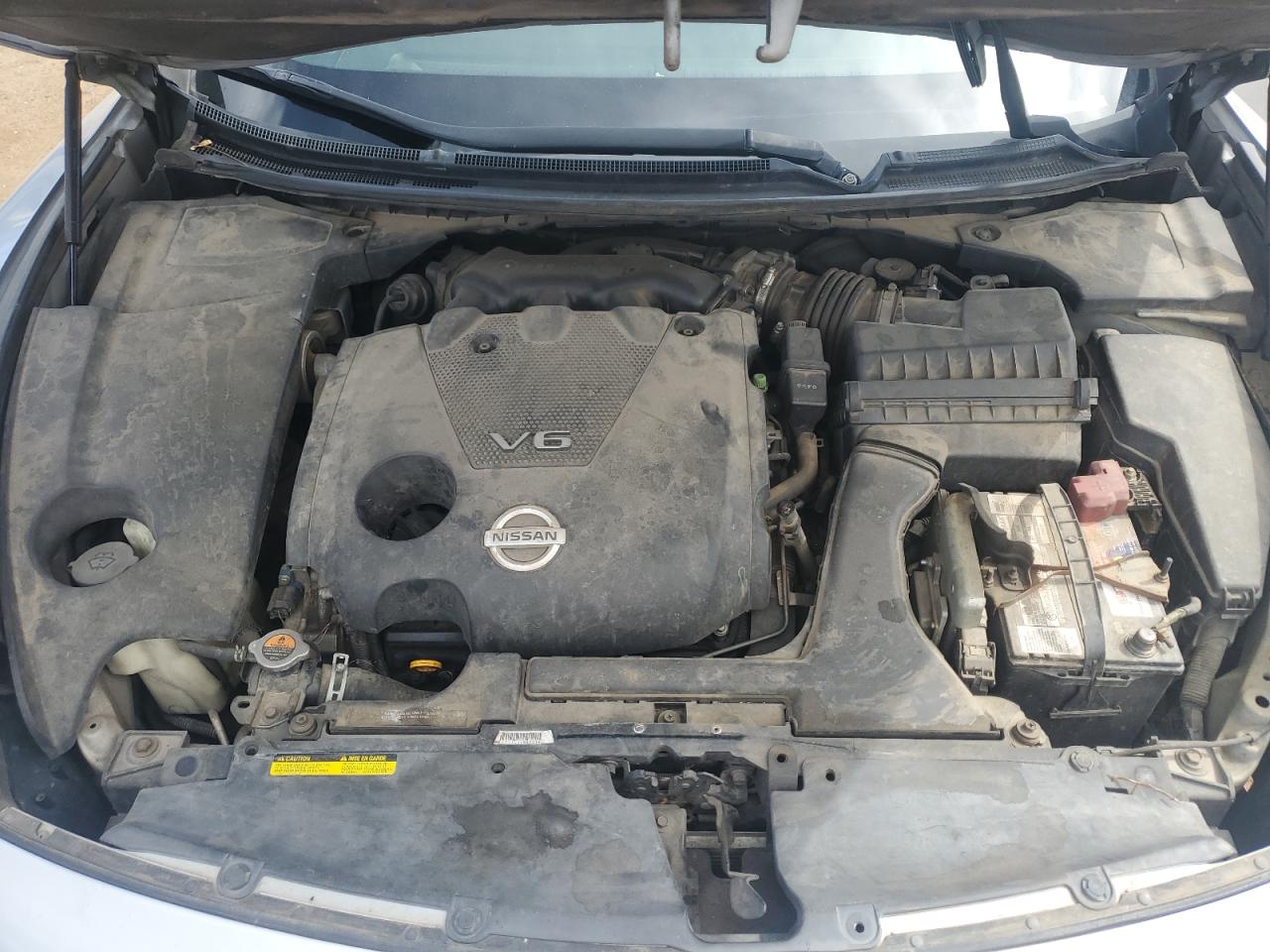 2010 Nissan Maxima S VIN: 1N4AA5APXAC862464 Lot: 56894155