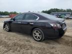 2013 Nissan Maxima S zu verkaufen in Midway, FL - Front End
