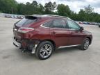 2013 Lexus Rx 350   for Sale in Gaston, SC - Rear End