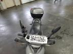 2019 Genuine Scooter Co. Roughhouse 50   for Sale in Ham Lake, MN - Side