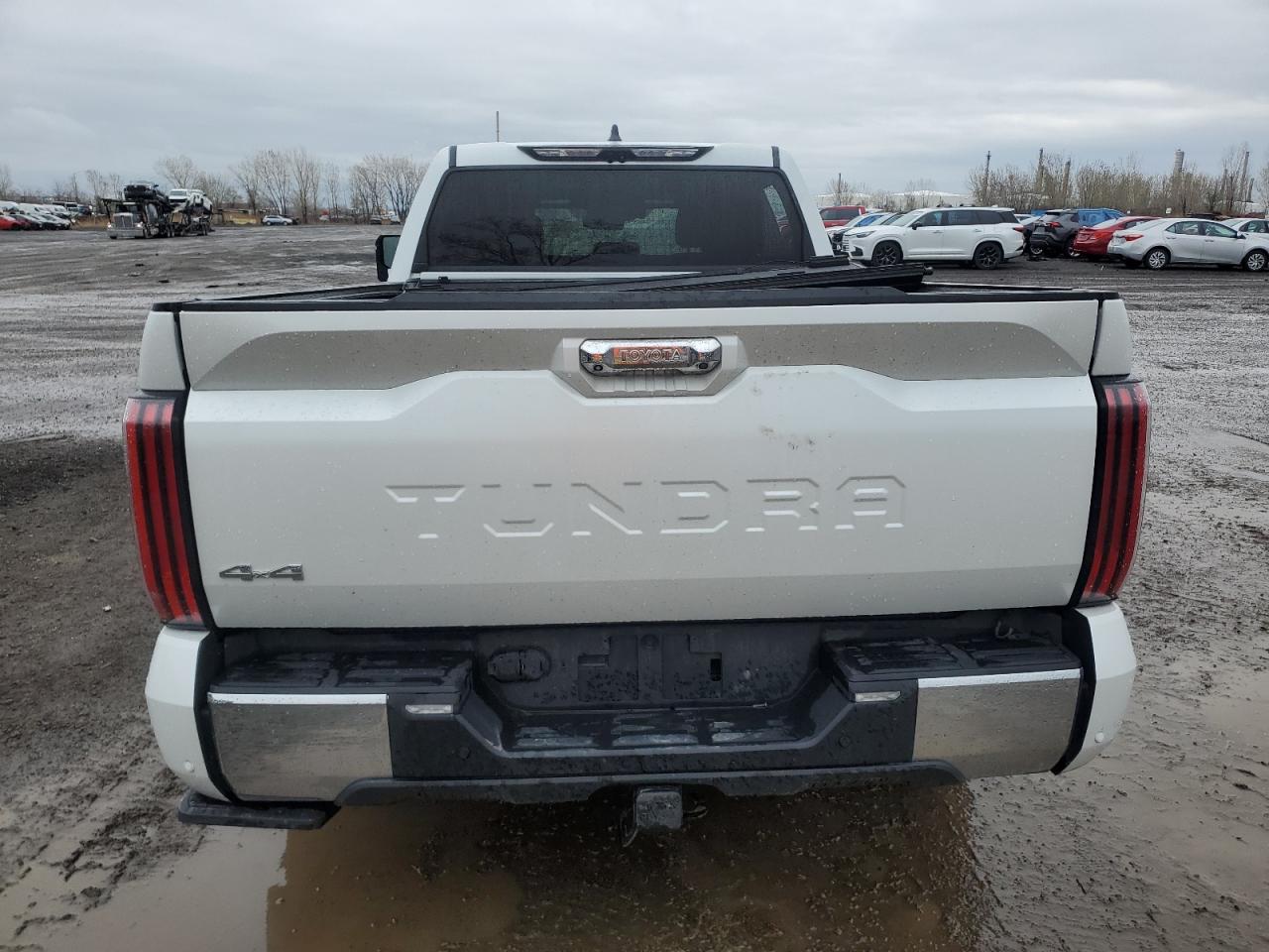 2022 Toyota Tundra Crewmax Platinum VIN: 5TFMA5EC3NX009787 Lot: 54762645