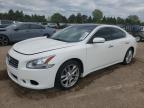 2010 Nissan Maxima S for Sale in Elgin, IL - Front End