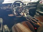 2017 Ford Mustang  for Sale in Corpus Christi, TX - Front End