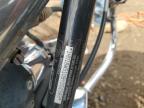 2009 Harley-Davidson Flstc  for Sale in Brighton, CO - Side