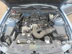 2006 Ford Mustang  for Sale in Brighton, CO - Hail