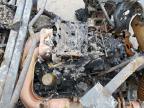 2024 Atv All Models за продажба в Ellwood City, PA - Burn