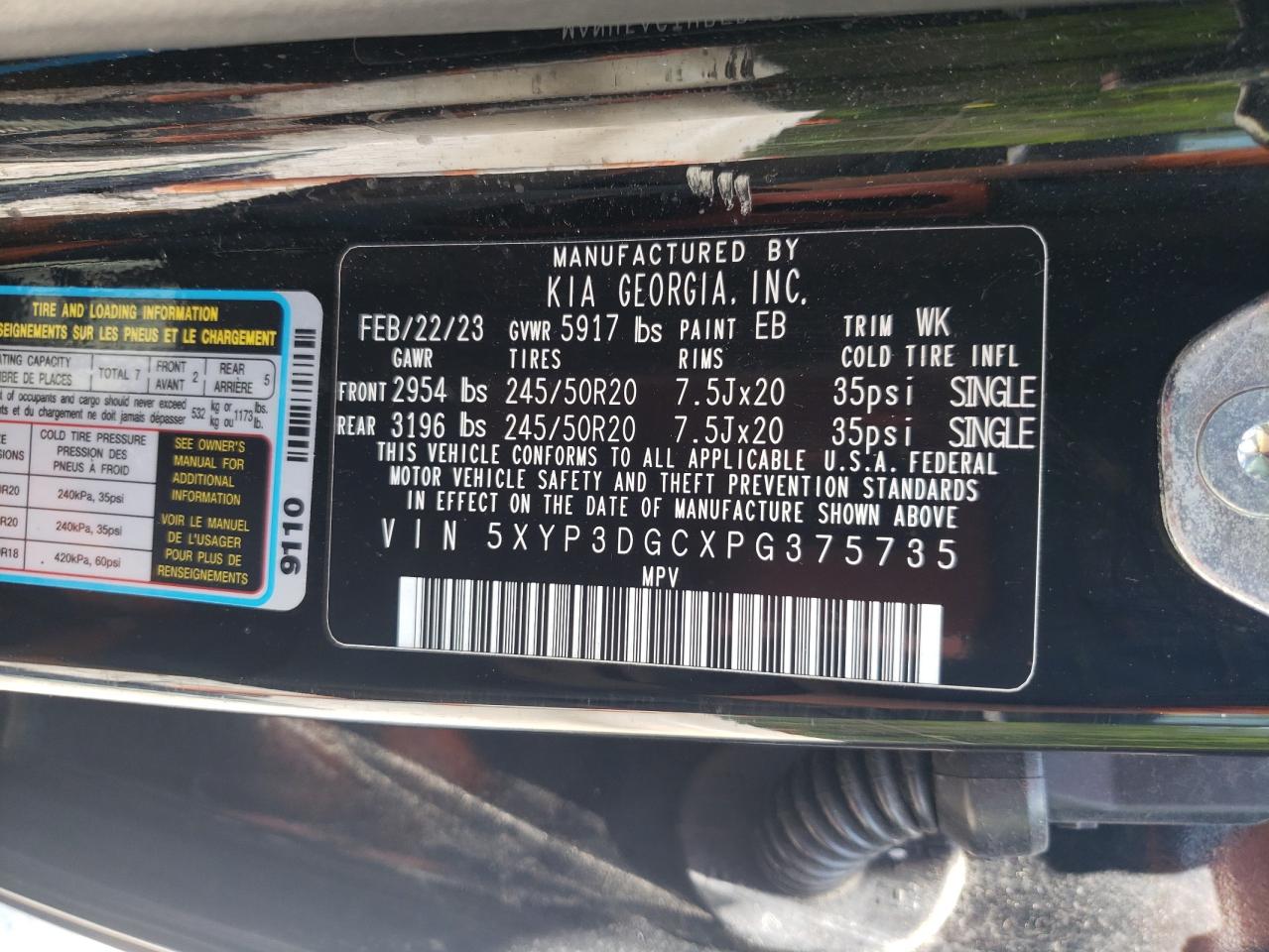2023 Kia Telluride Ex VIN: 5XYP3DGCXPG375735 Lot: 56676885