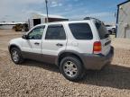 2005 Ford Escape Xlt for Sale in Rapid City, SD - Minor Dent/Scratches